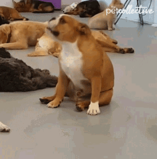 Tired Pouting GIF - Tired Pouting Throw A Fit GIFs