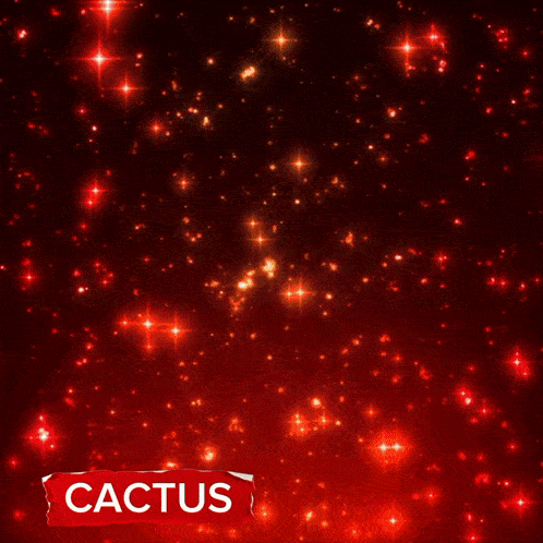 a picture of a woman surrounded by red roses and the name co. capt cactus