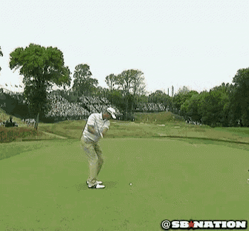 Hole In One - Hole GIF - Hole Hole In One Golf GIFs