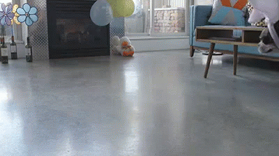 Dj Easter Roomba GIF - Roomba Easter Happy Easter GIFs