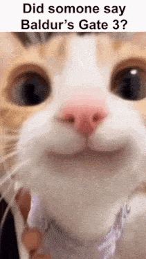 a close up of a cat 's face with the words `` did somone say baldur 's gate 3 ? ''