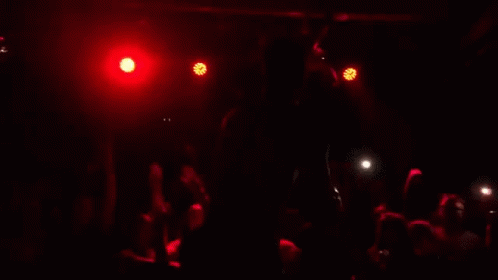 Party Jump GIF - Party Jump Party People GIFs