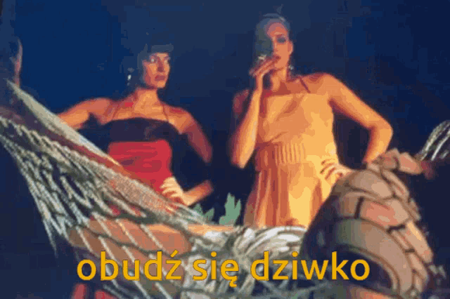 two women standing next to a hammock with the words obudz sie dziwko in yellow letters