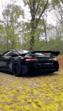 a black sports car is driving down a road covered in yellow leaves