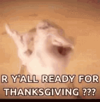 a pig is giving the middle finger and saying `` r y all ready for thanksgiving ? ''