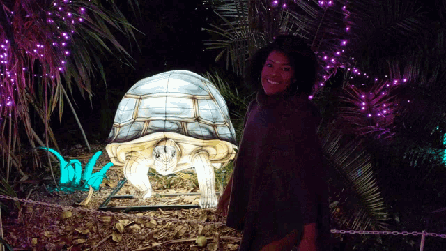 a woman stands in front of a turtle sculpture