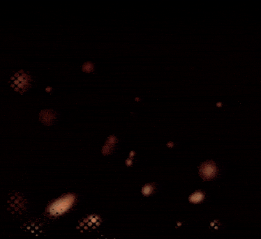 a poster for metallady on fire final with a black background