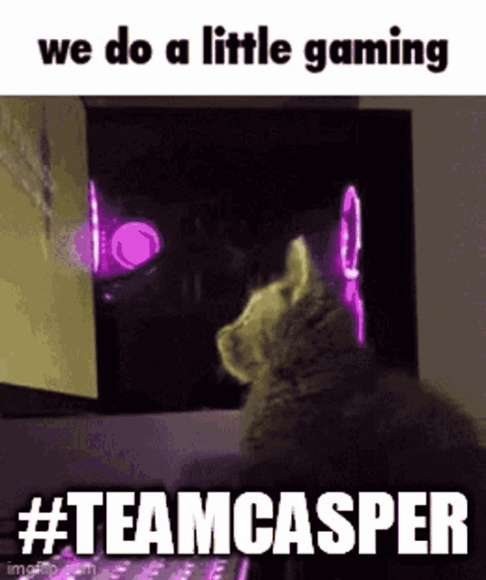 Teamcasper We Do A Little Gaming GIF - Teamcasper Teamcas We Do A Little Gaming GIFs