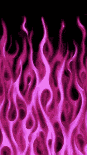 a close up of pink flames on a black background