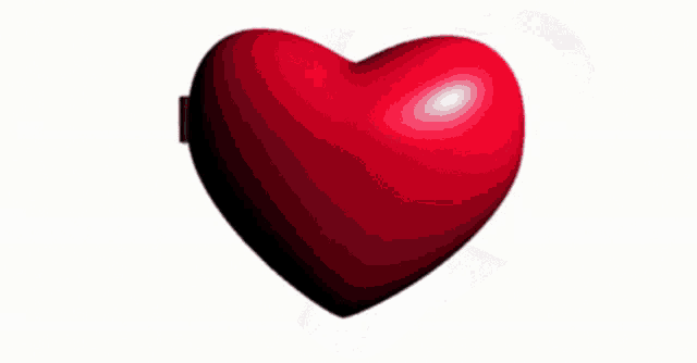a red and white heart with the words bingus my beloved on it