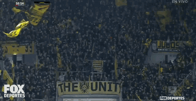 Fans Borussia Dortmund GIF - Fans Borussia Dortmund Dortmund GIFs