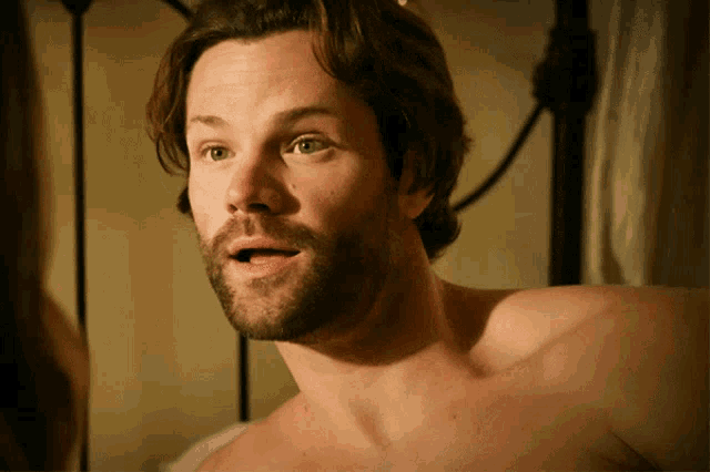 a shirtless man with a beard looks at the camera