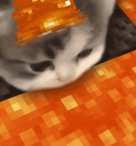 Kitty Eat Lava Minecraft GIF - Kitty Eat Lava Minecraft Kitty GIFs