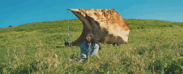 a large piece of cloth is hanging from a pole in a grassy field
