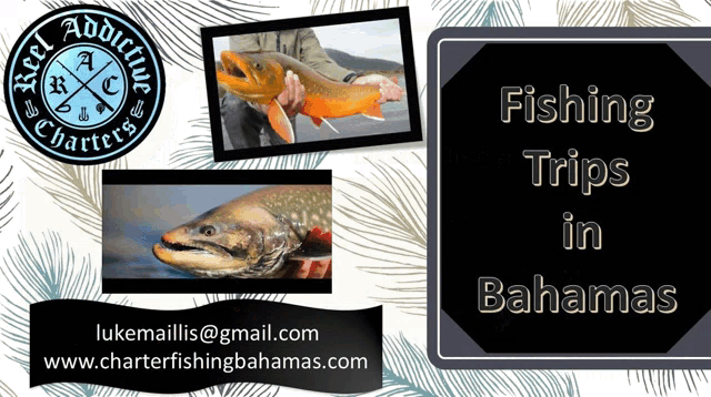 an advertisement for fishing trips in the bahamas with a person holding a fish