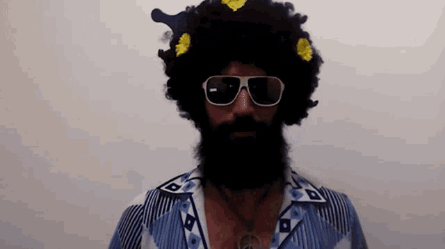 a man with a beard wearing sunglasses and an afro