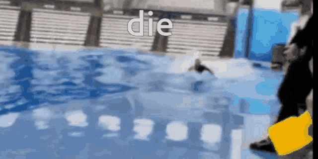 a whale is swimming in a pool with the words `` die '' written on the bottom .