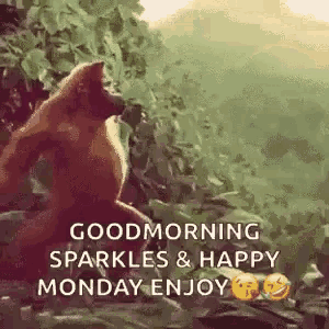 a monkey is sitting on a tree branch and says good morning sparkles & happy monday enjoy .