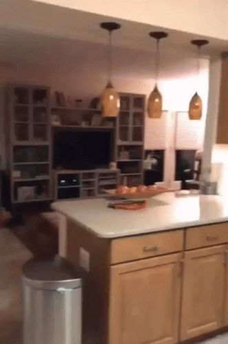 Sup Cat GIF - Sup Cat Oh GIFs
