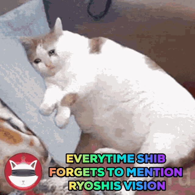 Ryoshi Sad GIF - Ryoshi Sad Cat GIFs