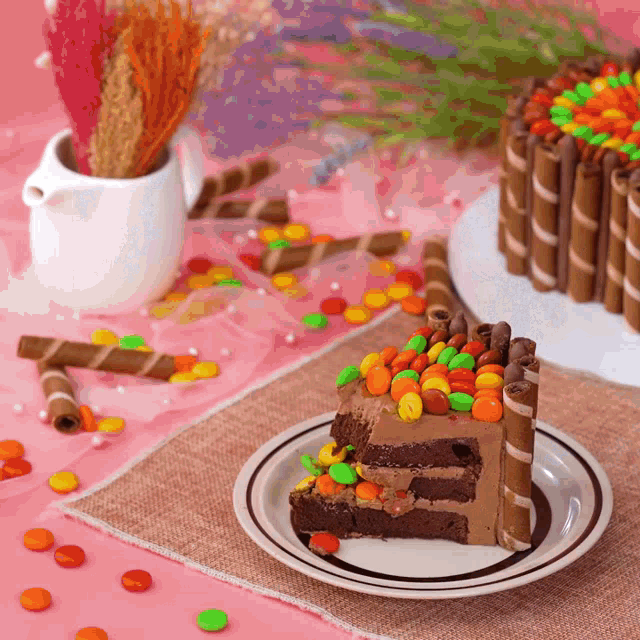a slice of chocolate cake with candy on it