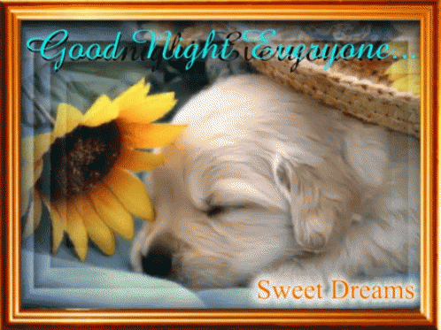 Puppy Goodnight GIF - Puppy Goodnight Sweet Dreams GIFs