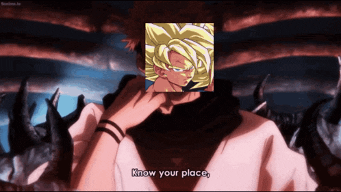 a cartoon of a man with a picture of goku on his face says know your place