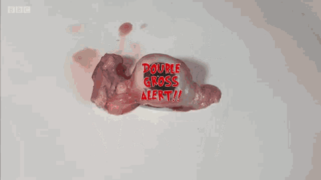 a sign that says double gross alert with a bbc logo in the corner