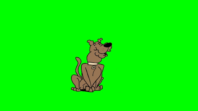 scooby doo and shaggy are riding a car on a green background
