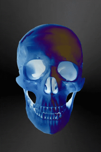 Skull Blue GIF - Skull Blue Cranium GIFs