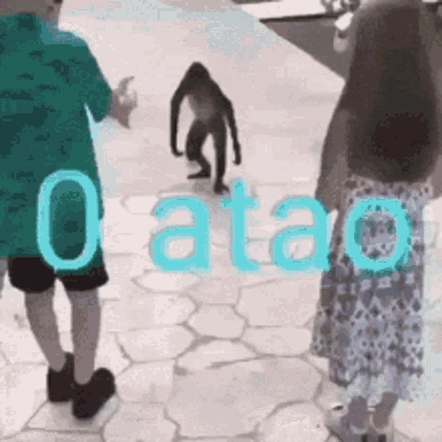 a monkey is walking down a sidewalk next to a group of people with the word oatao written in blue letters