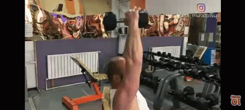 Seated Dumbbell Overhead Triceps Extension GIF - Seated Dumbbell Overhead Triceps Extension GIFs