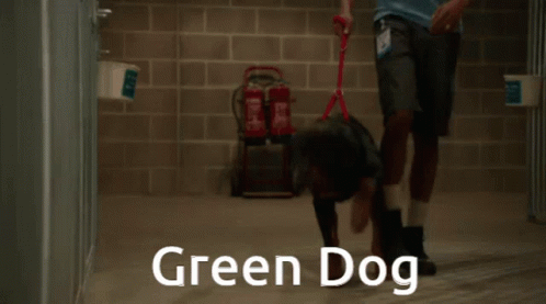 Voggreen Green GIF - Voggreen Green Greendog GIFs