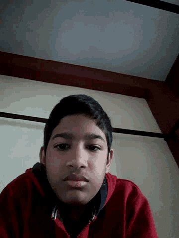 a young boy wearing a red sweater is looking at the camera