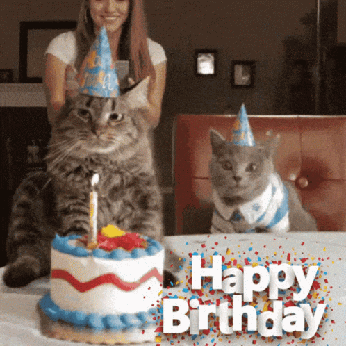 Kitty Birthday GIF - Kitty Birthday Wishes GIFs