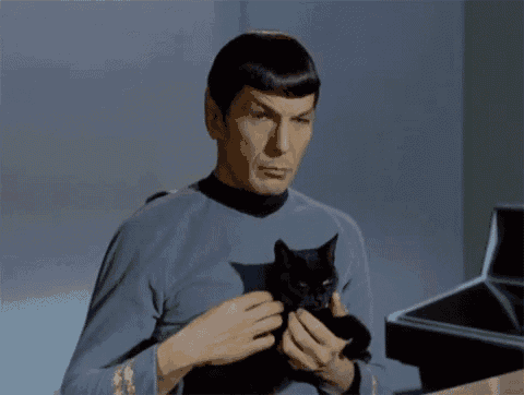 Star Trek Spock GIF - Star Trek Spock Cats GIFs