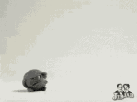 two frogs are standing next to each other in a black and white photo that says jibjab