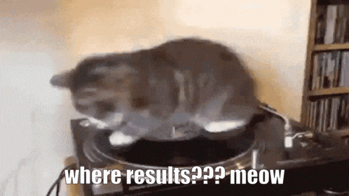 a cat is sitting on top of a record player with the words " where results meow " written below it .