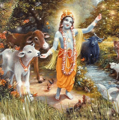 Krishna Hindi GIF - Krishna Hindi Cow GIFs