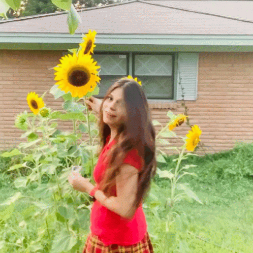 Mary Avina GIF - Mary Avina Sunflowers GIFs