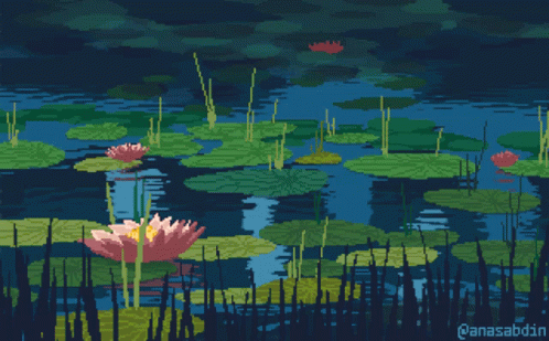 Pond GIF - Pond GIFs