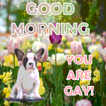 a puppy is sitting in a field of flowers with the words good morning you are gay