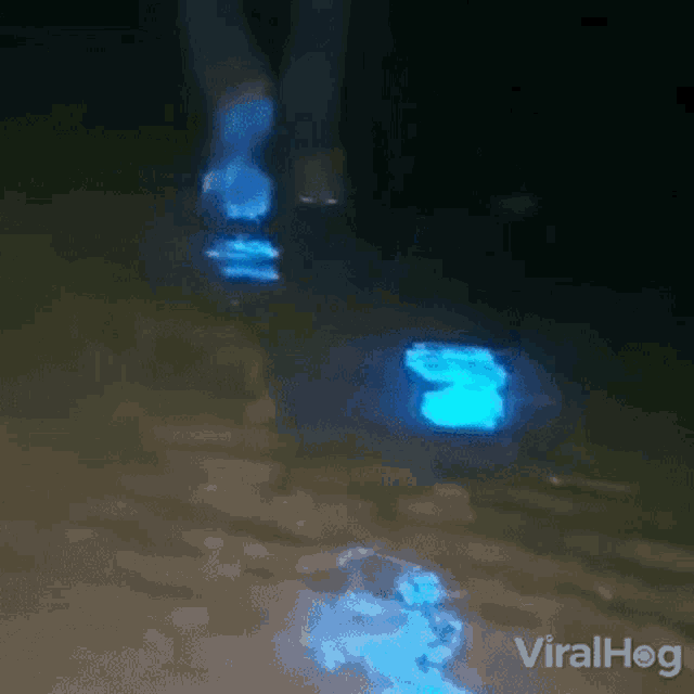 Glowing Footprints Viralhog GIF - Glowing Footprints Viralhog Shining Footprint GIFs