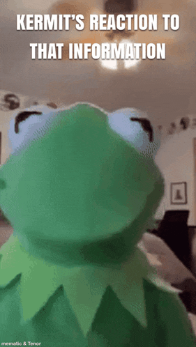 kermit 's reaction to that information is shown