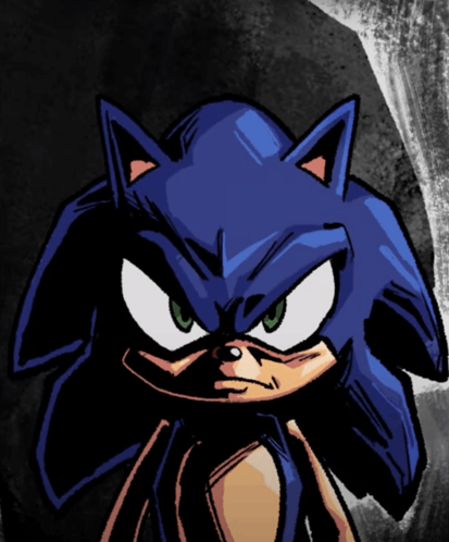 Sonic Prowler GIF - Sonic Prowler Serious GIFs
