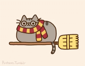 Pusheen Cat GIF - Pusheen Cat Harry Potter GIFs