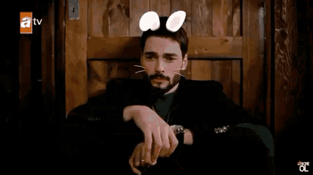 a man with a beard and bunny ears on his head