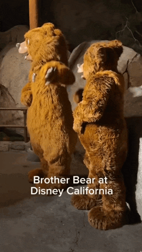 two brown teddy bears are standing next to each other with the caption brother bear at disney california