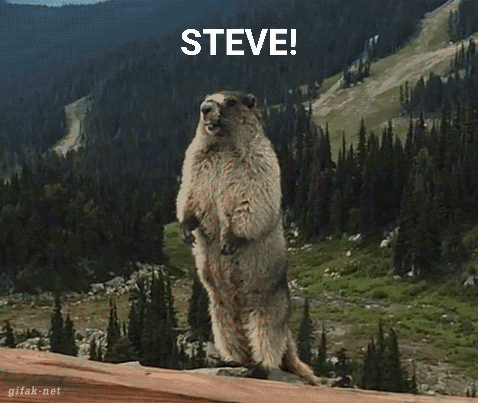 Yelling Steve GIF - Yelling Steve Screaming GIFs