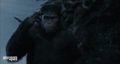 a poster for archives of the apes with a monkey on it